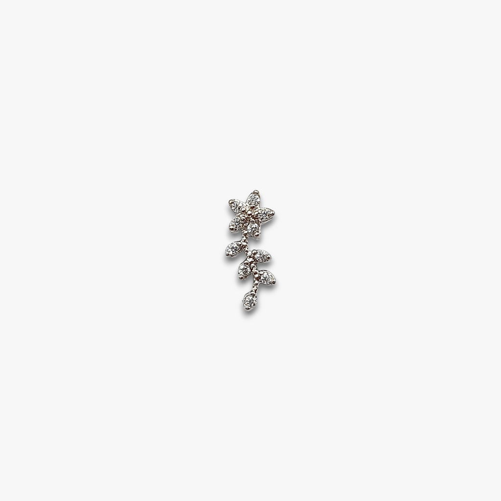 Enchanted Cartilage Piercing