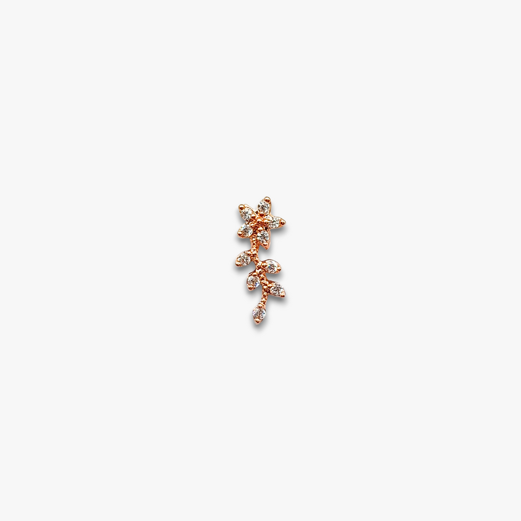Enchanted Cartilage Piercing