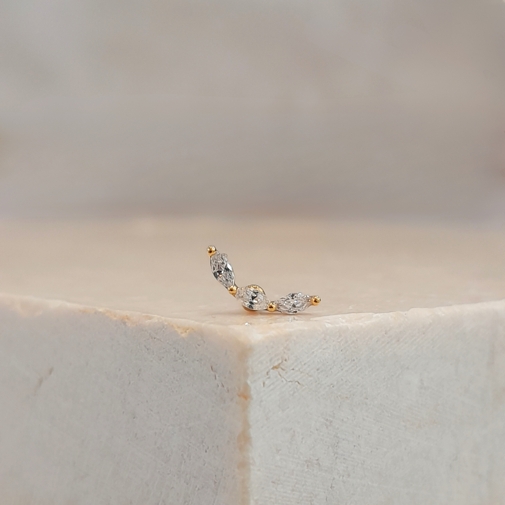 Cartilage 2025 earrings nz